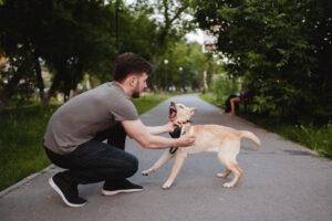 Can a Landlord Be Liable For a Tenant’s Dog Bite Case in Aurora?